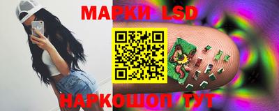 дмт Нальчик