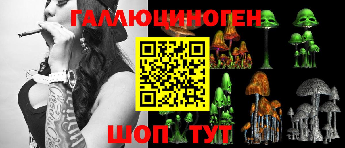 Галлюциногенные грибы Cubensis Фролово